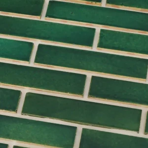 آجرنما لعاب سبز
